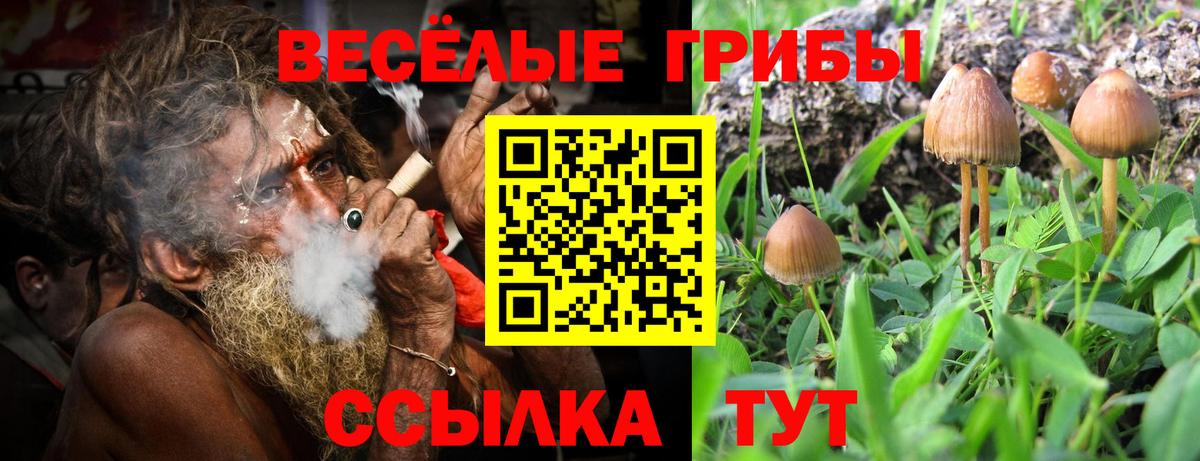 Галлюциногенные грибы прущие грибы  наркошоп  Чайковский  Вход с VPN  Псилоцибиновые грибы прущие грибы 