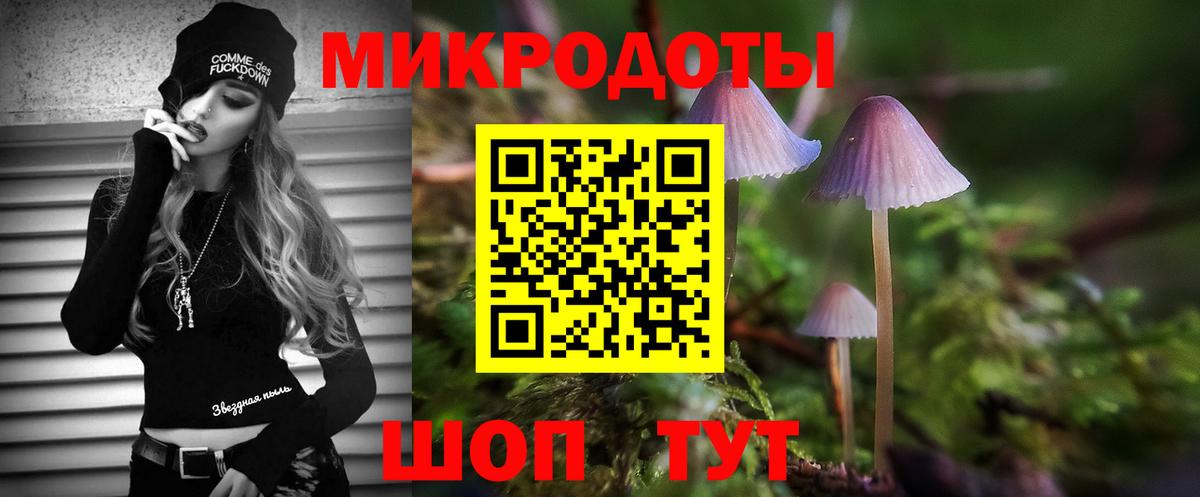 Псилоцибиновые грибы Cubensis Чайковский
